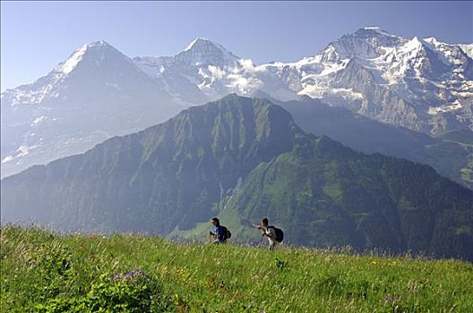 远足,旅游,靠近,格林德威尔,正面,山,艾格尔峰,少女峰,伯恩高地,瑞士