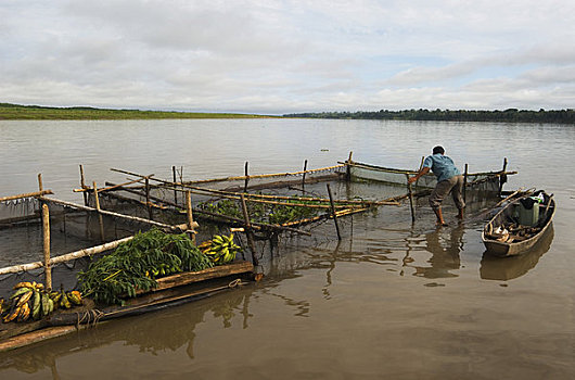 秘鲁,亚马逊盆地,河,人,生活方式,筏子,运输,鱼,伊基托斯