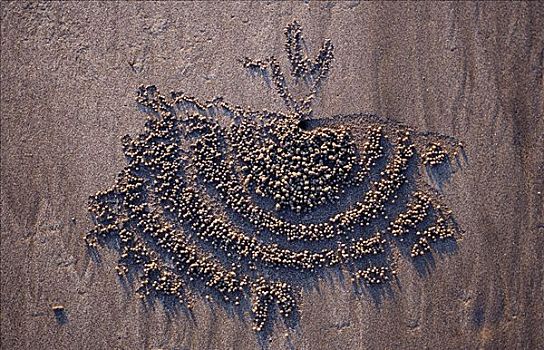 沙子,排列,灵异,螃蟹