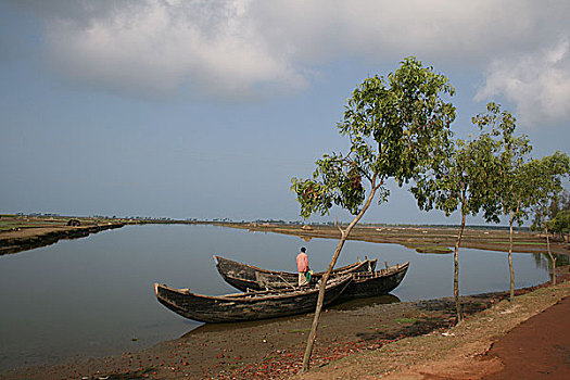 风景,市场,孟加拉,2008年