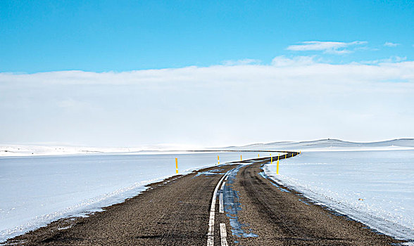 道路,雪景,路线,米湖,北方,冰岛,欧洲