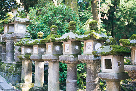 奈良春日大社