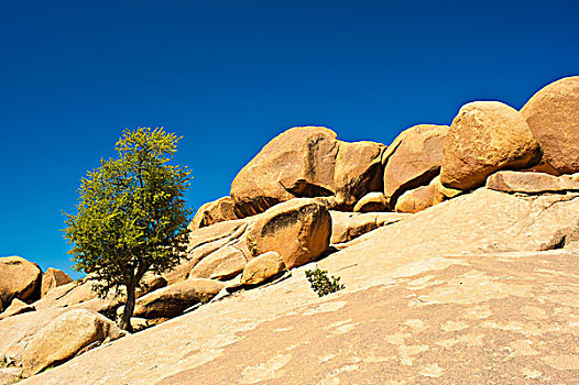 印象深刻,花冈岩,漂石,卧,石头,树,左边,小,山,山脉,南方,摩洛哥,非洲