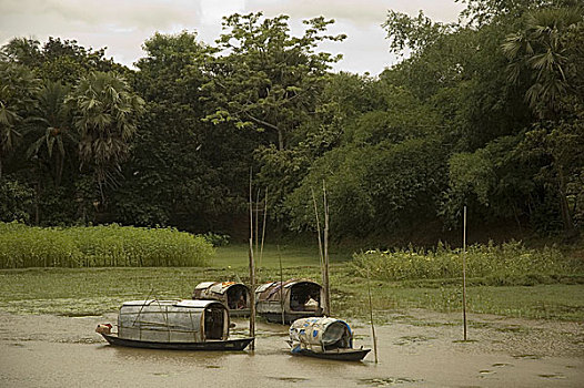 自然,场景,河边,乡村,孟加拉,2007年