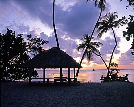 指点,日落,多巴哥岛