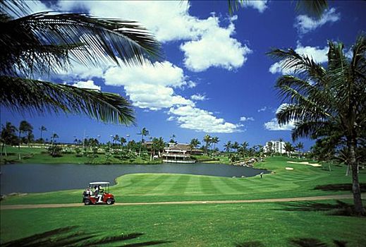 夏威夷,瓦胡岛,高尔夫球杆,棕榈树,人,小路,前景,水塘,高尔夫球场,背景