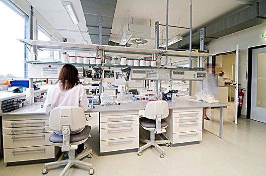 实验室,场景,基因,分析