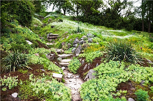 石头,小路,楼梯,绿色,花园