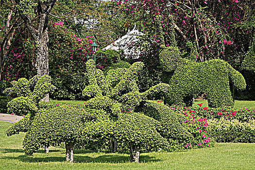泰国,度假酒店,花园