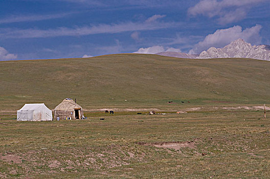 吉尔吉斯斯坦,歌曲,风景,蒙古包