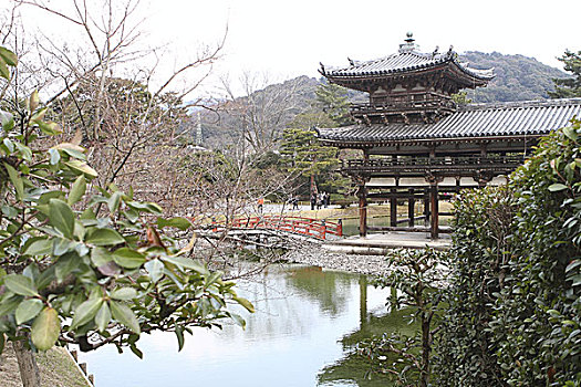 京都,马拉松,日本