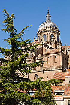 老教堂,圆顶,风景,广场,萨拉曼卡,萨拉曼卡省,西班牙