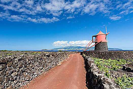 乡村道路,红色,风车,葡萄种植,地点,火山岩,石墙,蔽护,法亚尔,远景,皮库岛,亚速尔群岛,葡萄牙