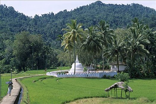庙宇,康提,斯里兰卡,南亚