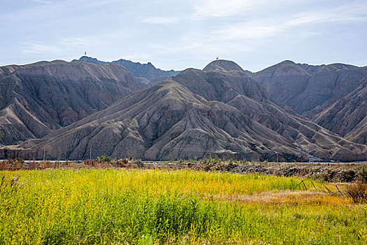 塔什库尔干河谷村庄边的绿地