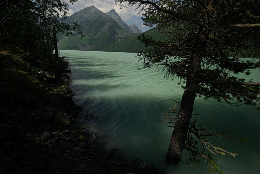 山,河,水流,峡谷,石头,岩石,陆地,靠近,漂亮,山景