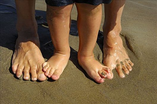 成年,儿童,脚趾,湿,沙子,威尼托,意大利