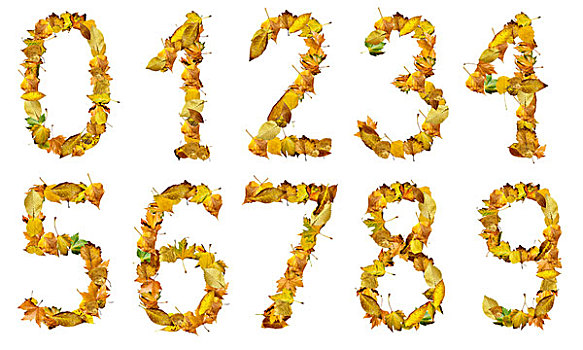 數字,秋葉