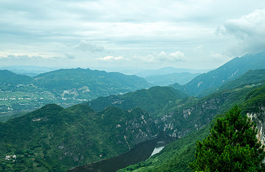 重庆龙缸