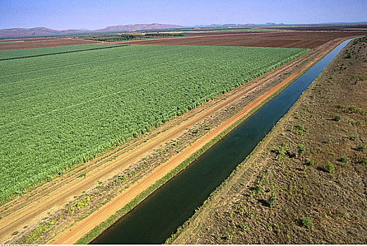 运河,地点,灌溉,区域,河,坝,西澳大利亚,澳大利亚