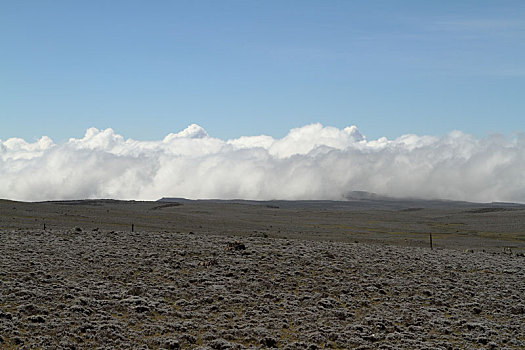 高原,大捆,山,埃塞俄比亚