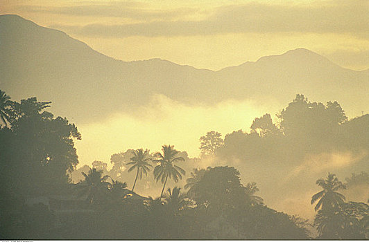 俯视,风景,薄雾,斯里兰卡