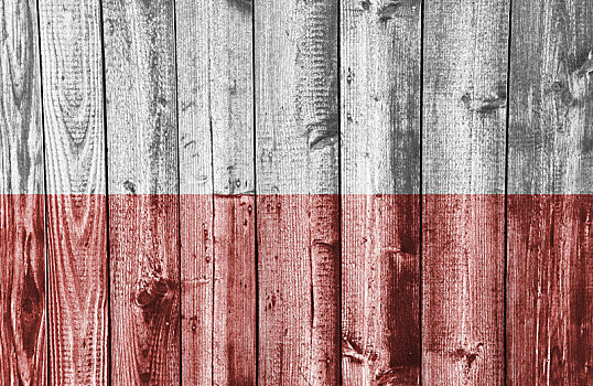 旗帜,波兰,纹理