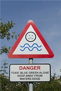 有毒,蓝色,绿藻,警告标识