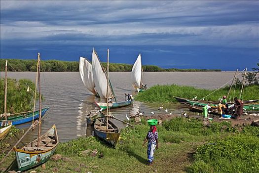 肯尼亚,地区,捕鱼者,船,捕鱼,维多利亚湖,女人,准备,销售,抓住