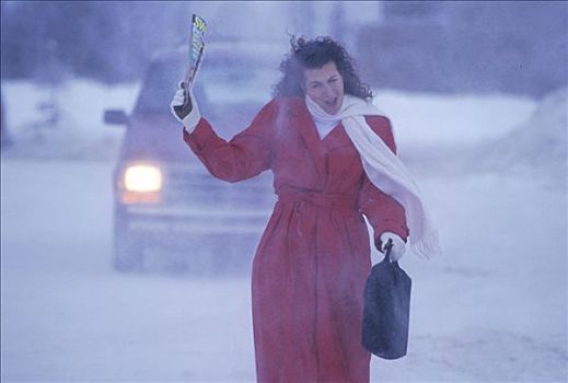 女人,走,暴风雪,冬季,肖像