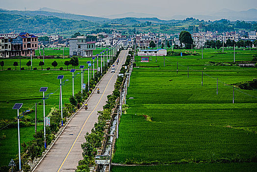 路面,道路,公路,景色,路,水泥路,柏油路,树,黄昏,夕阳,风光,风景