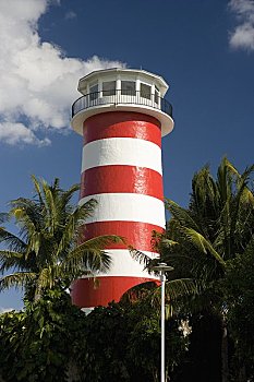 灯塔,大巴哈马岛,岛屿,巴哈马