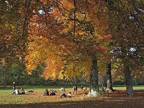 德国,上巴伐利亚,慕尼黑,英式花园,秋天
