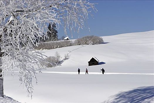 越野滑雪,小路,施蒂里亚,奥地利
