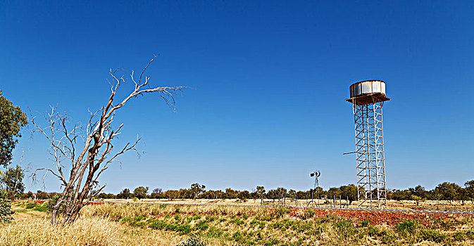 澳大利亚,概念,遥远,内陆地区,沥青,线条,水箱