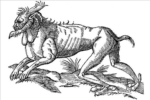 木刻,怪兽,可怕,脚,胡须,头部,后腿,鸟,狗,1642年,文艺复兴