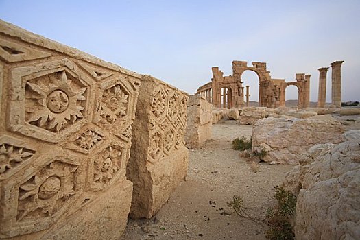 叙利亚,世界遗产,柱廊,雄伟,拱形