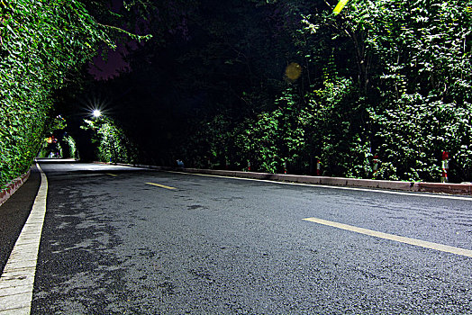 林荫道夜景道路特写