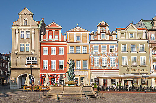 建筑,老,房子,纪念建筑,市场,广场,波兹南,波兰