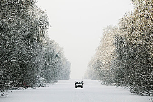 货车,积雪,风景