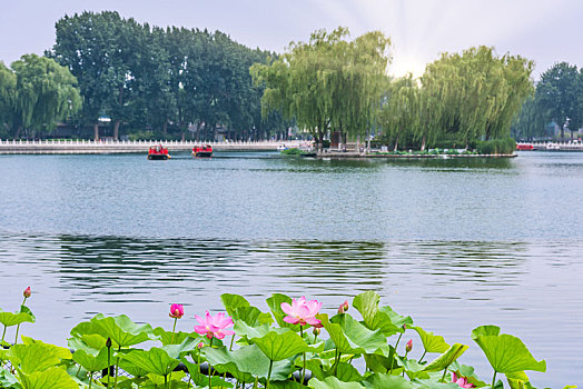 北京什刹海公园的荷花池园林建筑