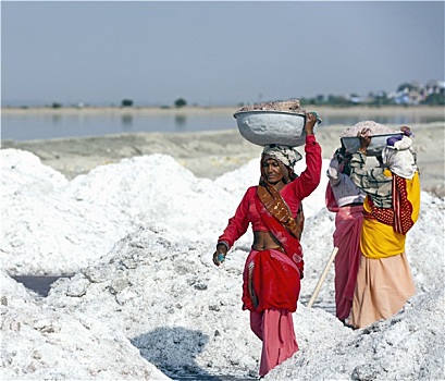 盐,盐湖,拉贾斯坦邦,印度