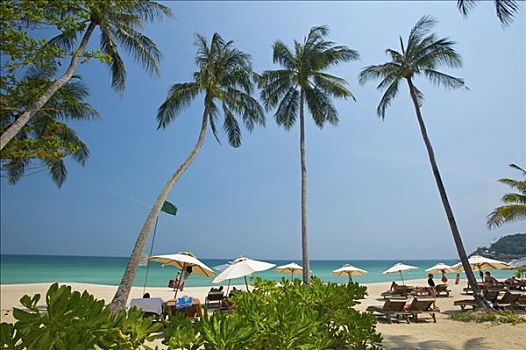 棕榈海滩,海滩,苏梅岛,泰国