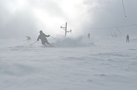 冬天,男人,滑雪,运动,有趣,旅行,雪