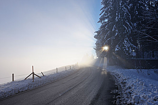 乡间小路,冬天,伯恩,瑞士