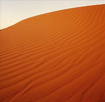 沙丘,沙漠,澳大利亚