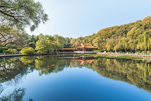 秋季中国抚顺清晨公园池塘柳树假山古建筑