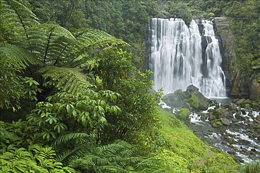 瀑布,国王,北岛,新西兰