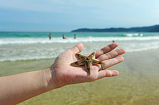 海边沙滩海浪,人手与海星