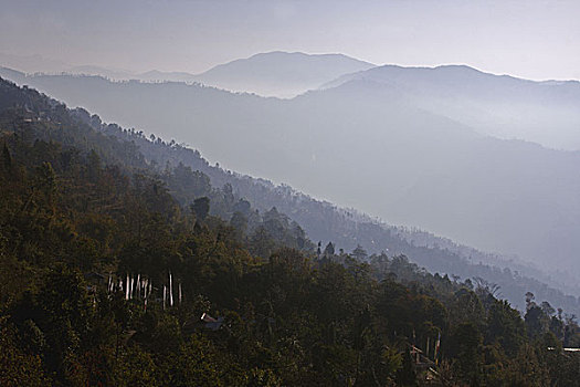 经幡,山,印度